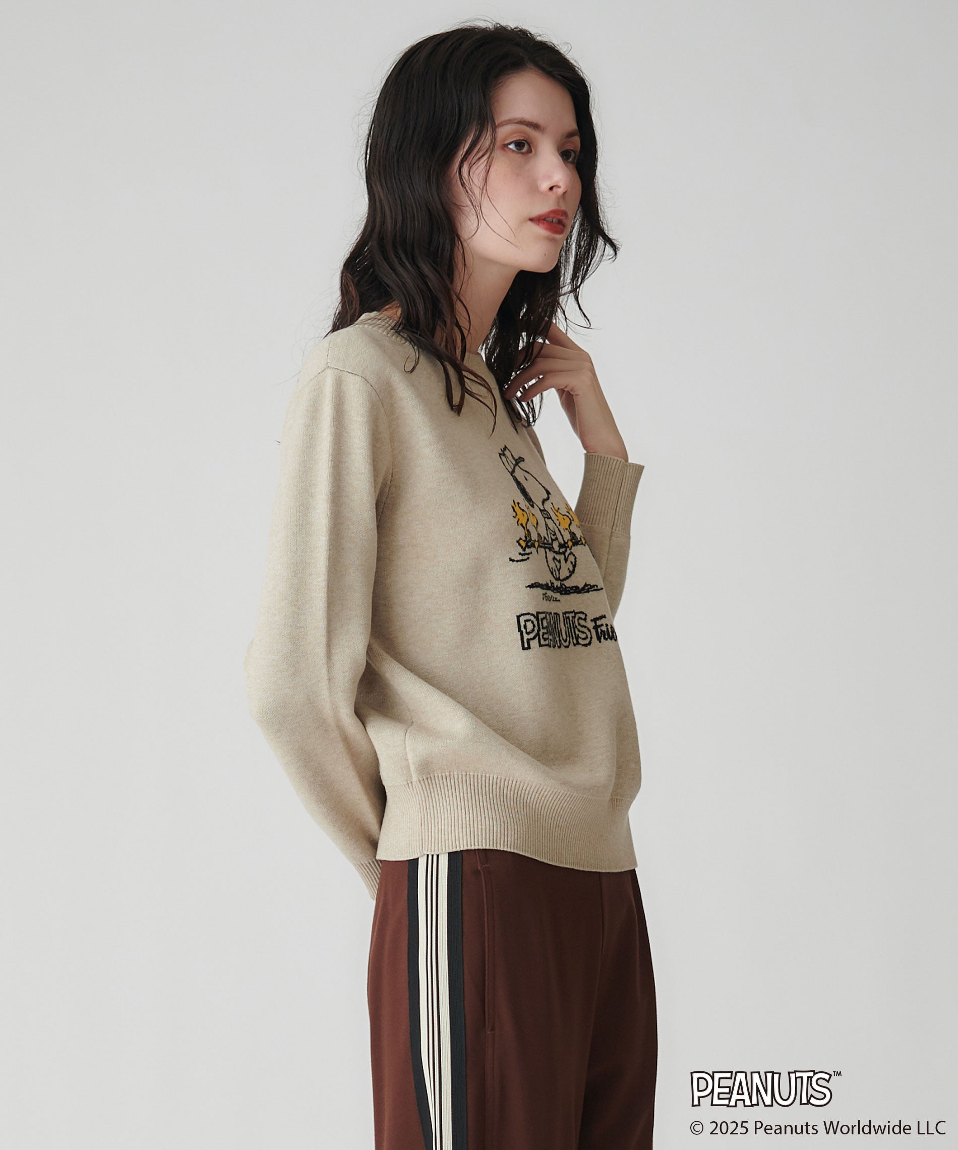 スヌーピー ジャガード セーター ベージュ PEANUTS(SNOOPY)コラボジャガードニット – FACE SANS FARD