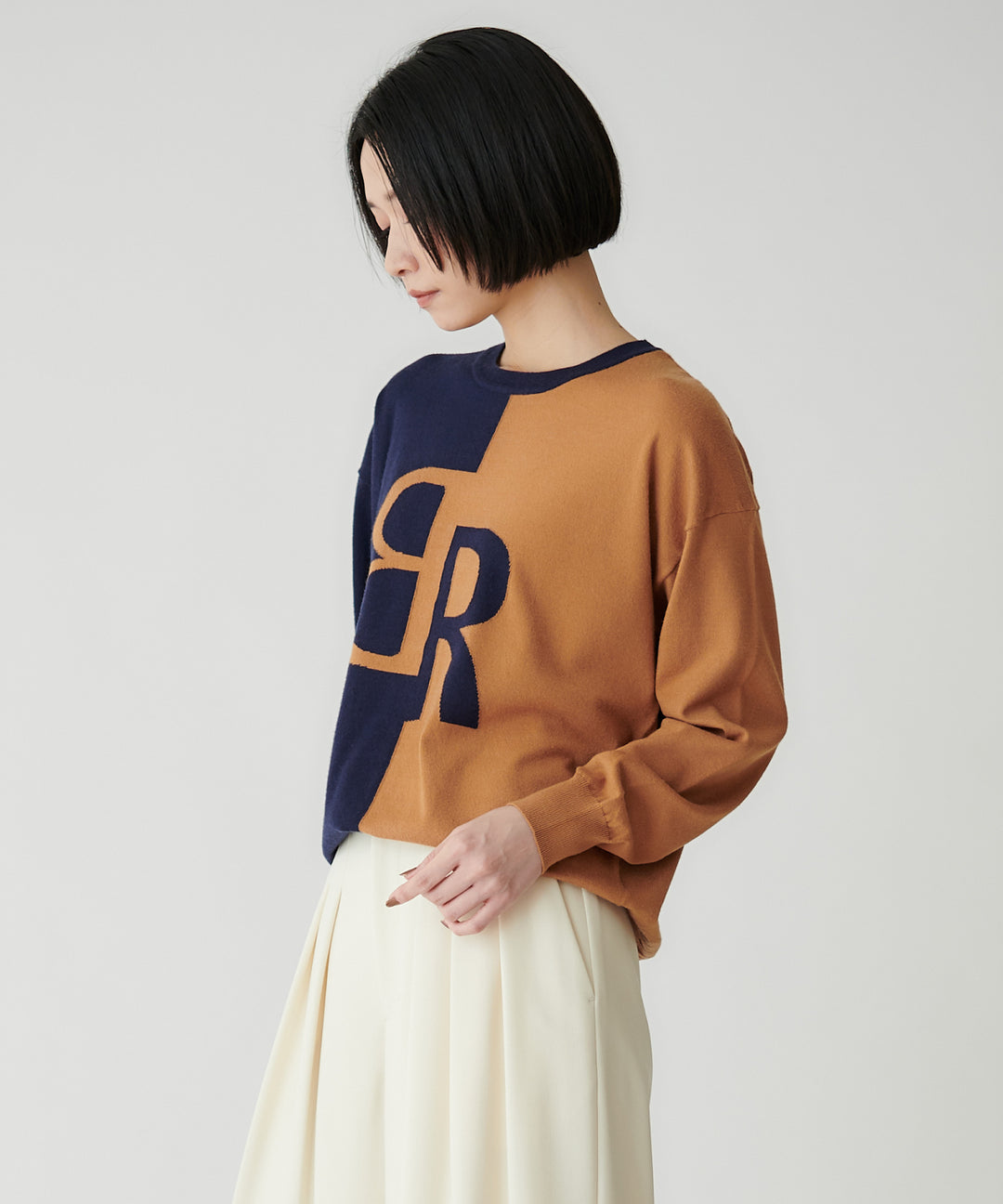 BRロゴ インターシャニットプルオーバー