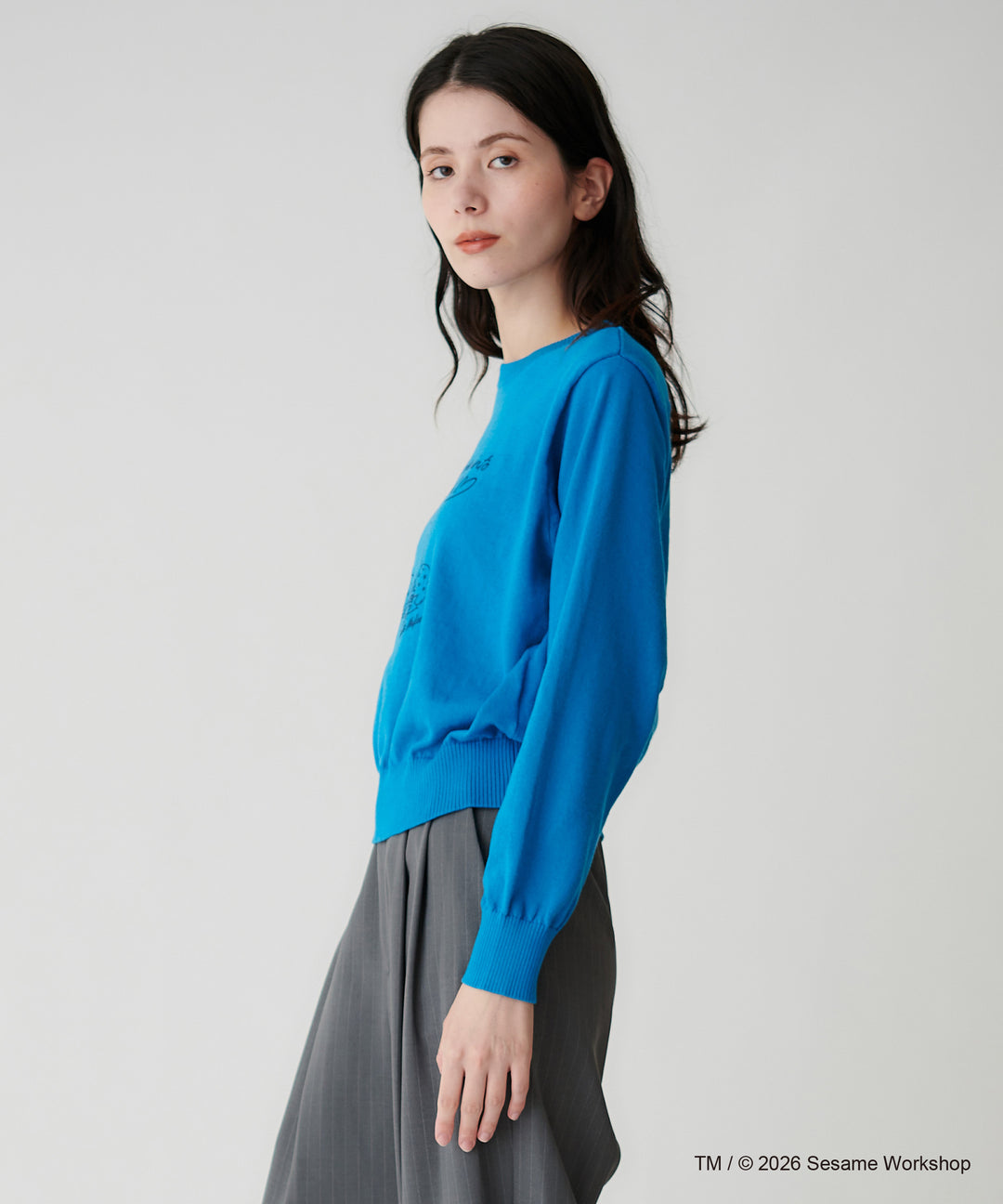 SESAME STREET（セサミストリート）クッキーモンスターデザインニット