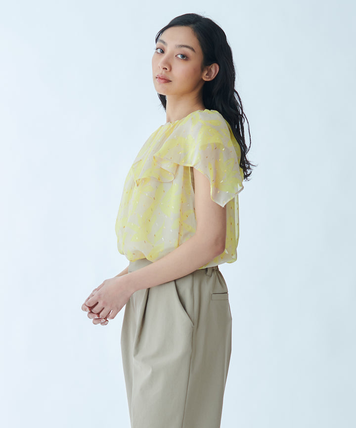 Printed Sheer Blouse