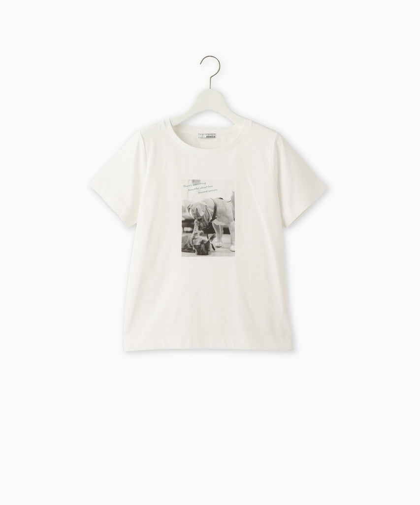 コットン天竺フォトプリントTシャツ – FACE SANS FARD