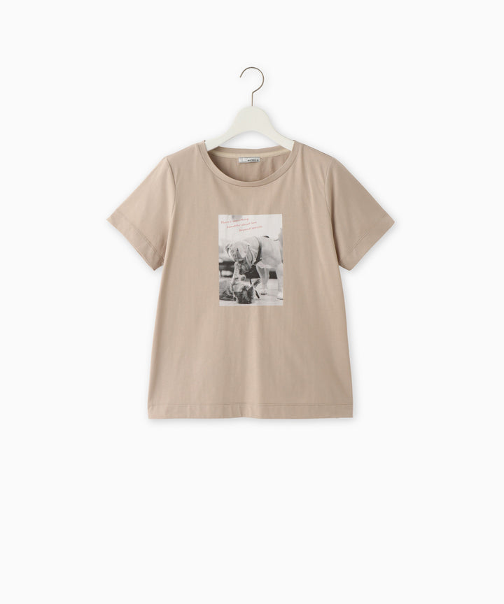 コットン天竺フォトプリントTシャツ