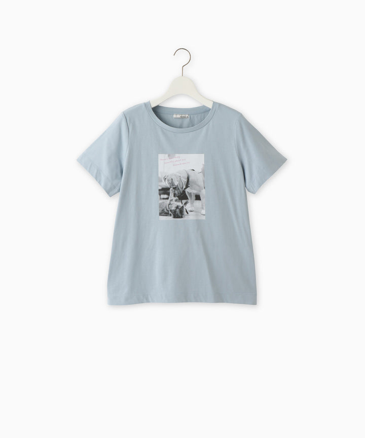 コットン天竺フォトプリントTシャツ