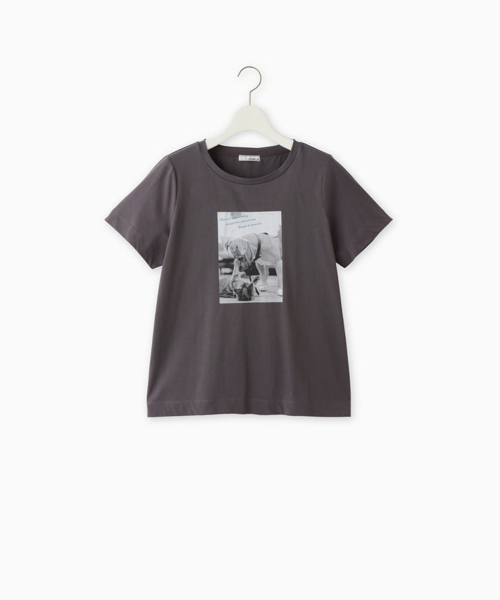 コットン天竺フォトプリントTシャツ