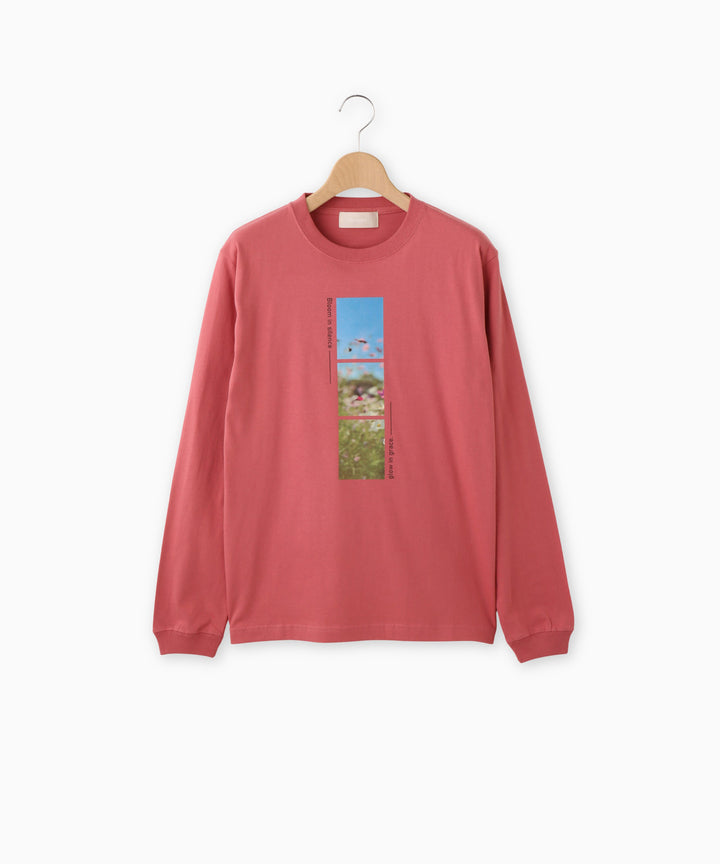 デザインフォトカットソー