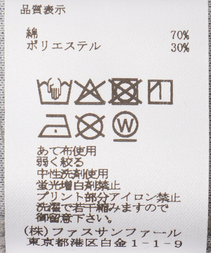 コンパクトベロアロゴロンT